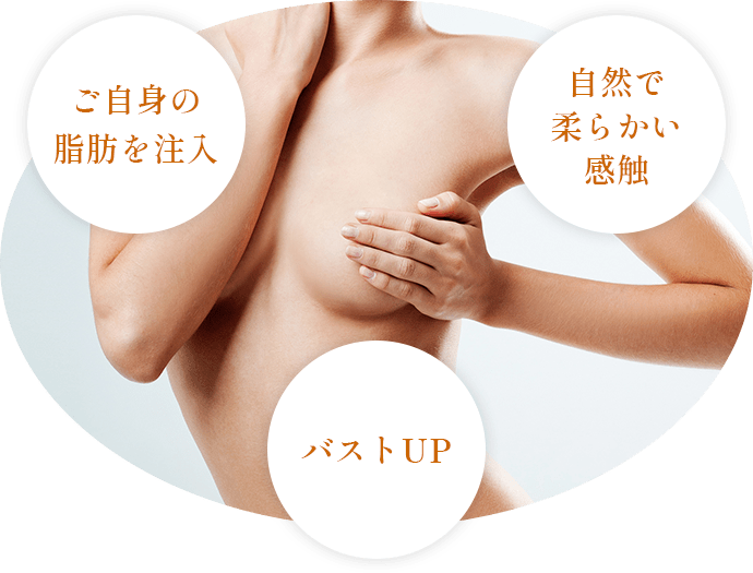 脂肪注入 豊胸術の特長